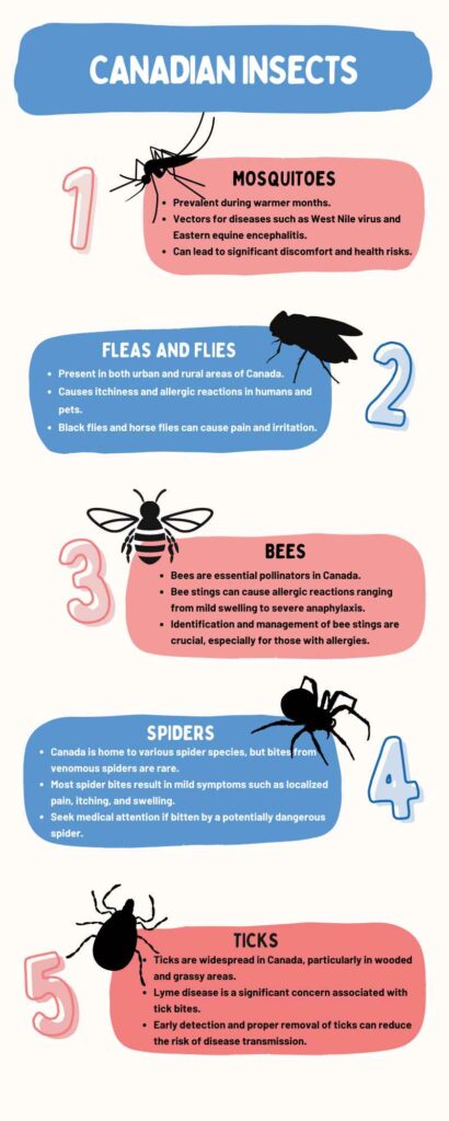 Infographic about Canadian insects